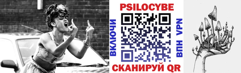 Купить закладки Дмитров Галлюциногенные грибы мицелий
